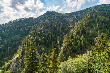 Climbing on the Drachenwand via ferrata