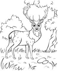 Coloring page outline of cute cartoon deer. Vector image with forest background. Coloring book of forest wild animals for kids