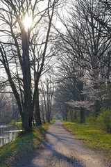 The towpath along the Delaware-Raritan canal in Princeton, New Jersey