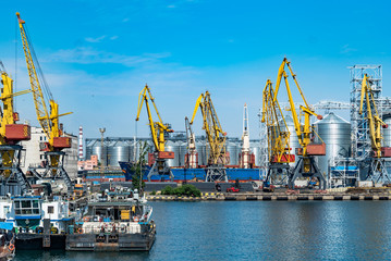 Fototapeta na wymiar Logistics business. Huge cranes and containers, sunny summer day. Sea port,