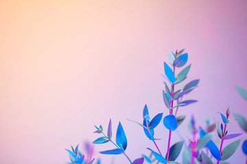 Creative neon background with leaves. Colorful abstract backdrop with vibrant gradients on petals. Exotic nature branch with pink and blue neon colors. Organic twigs with beautiful backlight