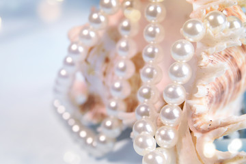 Wedding background with pearls and sea shell. Luxury wedding background - obrazy, fototapety, plakaty
