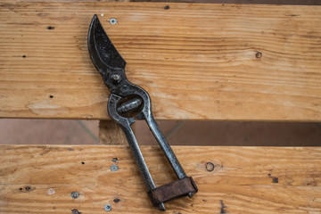 Pruning shissors on a wooden table