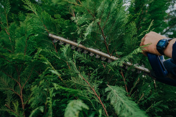 Hedge Trimming Job. Caucasian Gardener with Gasoline Hedge Trimmer Shaping Wall of Thujas in a Garden.Macro