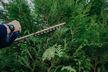 Hedge Trimming Job. Caucasian Gardener with Gasoline Hedge Trimmer Shaping Wall of Thujas in a Garden.Macro
