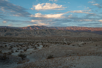 Fototapeta na wymiar The Desert 