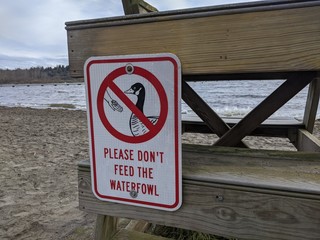 Don't Feed Waterfowl sign on the back of a lifeguard stand at Juanita Beach Park