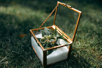 Original wedding rings in golden and  glass box on green grass