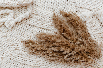 Top view Fluffy tan  plants bouquet on white blanket. Minimal floral holiday composition