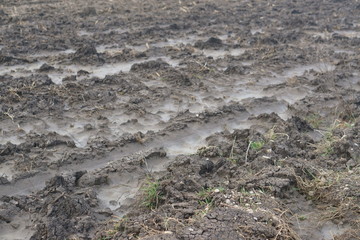 arable field in the nature after rain in Germany in cold february