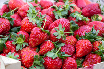 Strawberry. Fresh organic fruits macro.