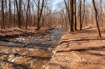 Baird Creek looking West on the Niagara Escarpment.