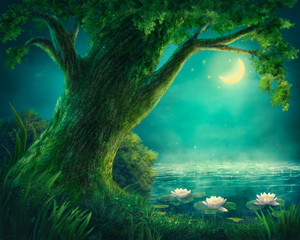 Magic lake in forest