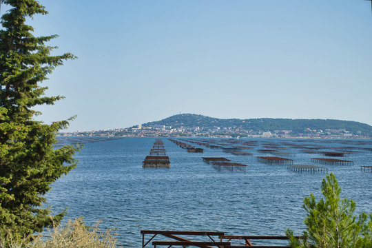 L'&eacute;tang de Thau est le plus grand plan d'eau de la r&eacute;gion Occitanie.