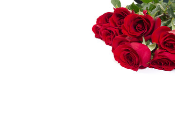 Obraz na płótnie Canvas beautiful bouquet of red roses lies on a white background. Young red roses are very fragrant. Dutch flowers are popular all over the world and delight millions of women around the world.