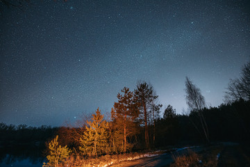 Night Sky Stars Above Landscape With Growing Pines Forest On River Coast. Natural Starry Sky Above Coniferous Woods In Early Spring Night.