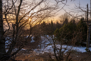 shining sun into the forest in the morning mountains