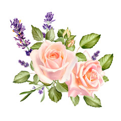 Watercolor blush roses with lavender flowers isolated on a white background. The trendy elegant design for wedding invitation, poster, greeting cards and web design. Hand drawing floral illustration.