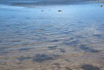 waves on the beach