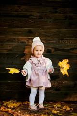 cute little girl in autumn leaves