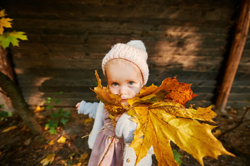 cute little girl in autumn leaves