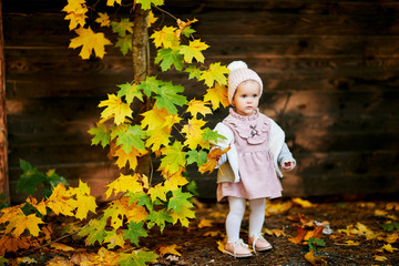 cute little girl in autumn leaves