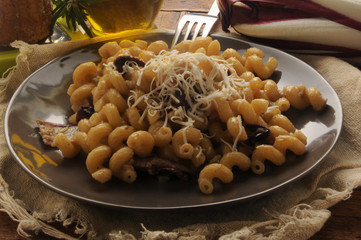 Cellentani al radicchio rosso e ricotta affumicata  ft0202_4261 Pasta with red chicory	