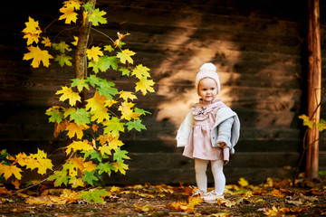 cute little girl in autumn leaves