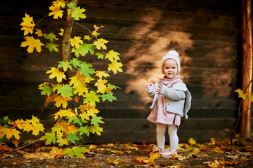 cute little girl in autumn leaves