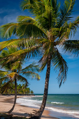 Sunny day at Taipú de Fora Beach, Penisula de Marau, BA, Brazil on February 22, 2008