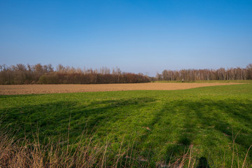 green meadow with field and trees in background and beautiful blue sky