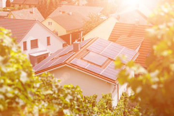 Solar panels on the tiled roof of the building in the sun. Top view through grape leaves. Image for...