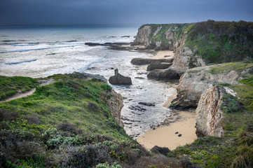 Fototapeta na wymiar Cliff on Davenport beach of California
