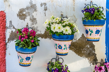 Fototapeta na wymiar Flowerpots on a wall in southern Spain