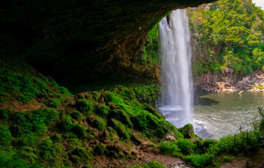 Fototapeta na wymiar Beautiful waterfall, Paihia, New Zealand