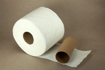 Single roll of white toilet paper and an empty cardboard tube on a beige background.