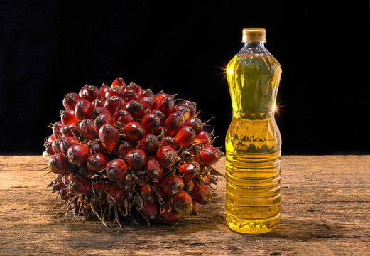 Fresh oil palm fruits and cooking palm oil on wooden background