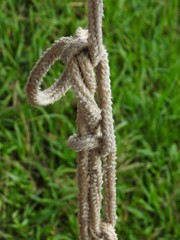 Close-up of a rope with some knots hanging on a lawn.