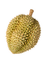 Durian isolated on white background, Durian isolated for packaging design (No shadow).