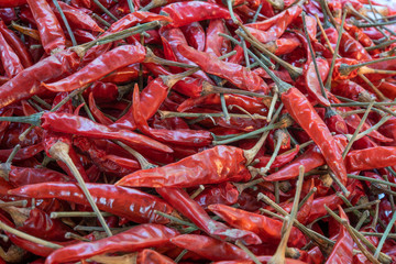 Dry hot chillis background.