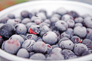 Blueberry frost
