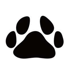動物　犬猫　足跡