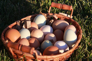 farm fresh eggs in basket