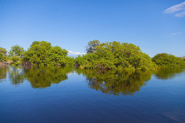 Obraz premium Manglar en La Ventanilla, Oaxaca, México