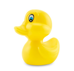 Yellow rubber duck