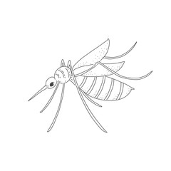 Mosquito 