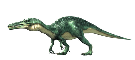 Suchomimus was a large carnivorous spinosaurid theropod dinosaur that lived in Cretaceous era Africa. It likely at fish and was semi-aquatic. On a white background. 3D Rendering 