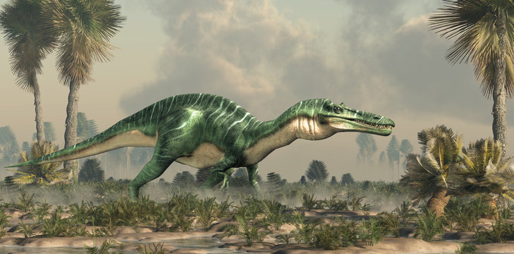 Suchomimus was a large carnivorous spinosaurid theropod dinosaur that lived in Cretaceous era Africa. It likely at fish and was semi-aquatic. Depicted in a watery lowland. 3D Rendering 