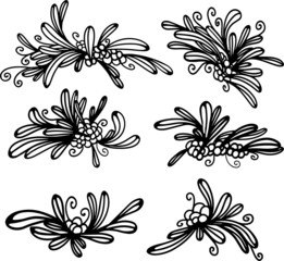A hand-drawn set of Botanical elements isolated on a white background. Vector illustration in Doodle style.