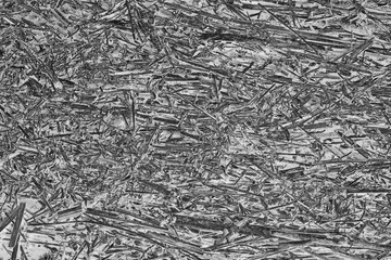 Fototapeta premium Black white grass background